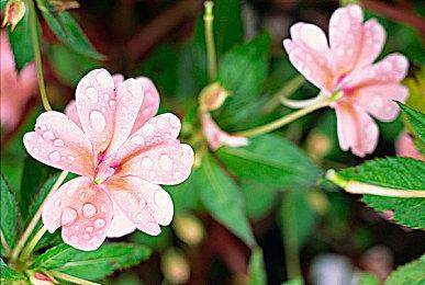 《巫师3》更新即将上线 PC端大约2GB